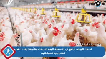 أسعار البيض ترتفع في الأسواق اليوم الأربعاء وتأثيرها يهدد القدرة الشرائية للمواطنين